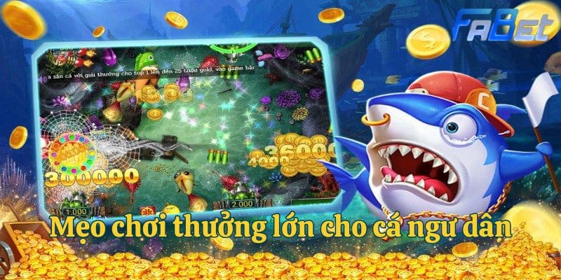 Mẹo chơi thưởng lớn cho cá ngư dân